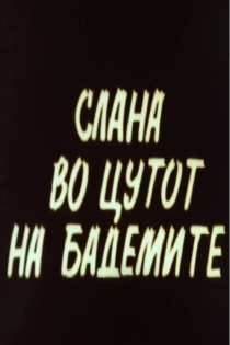 Slana vo cutot na bademite