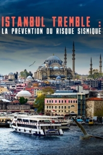 Istanbul tremble: La prévention du risque sismique