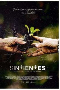 Sintientes