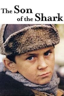 Le fils du requin