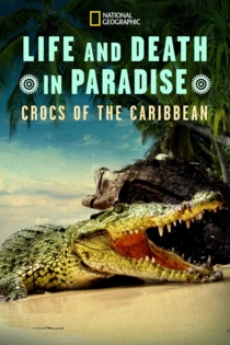 Crocs of the Caribbean