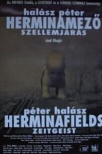 Herminamező - Szellemjárás