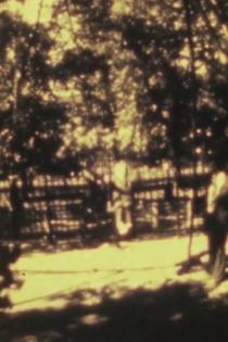 Harmful or Fatal if Swallowed