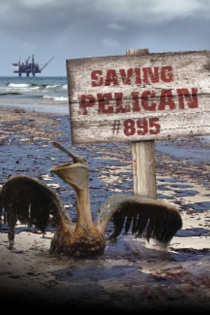 Saving Pelican 895
