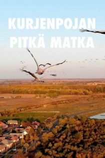 Kurjenpojan pitkä matka