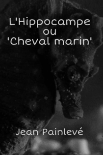 L'Hippocampe, ou 'Cheval marin'