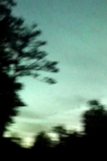 Desespero Magnânima