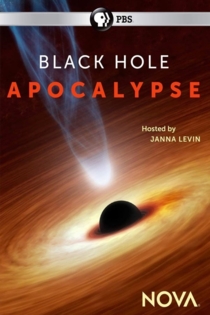 Black Hole Apocalypse