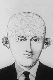 A Lecture on Man