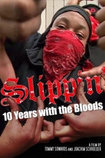 Slippin': Ten Years with the Bloods