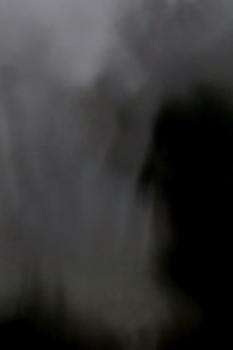 Wings from Somewhere