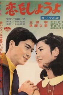 恋をしようよ　カリブの花