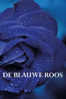 De blauwe roos