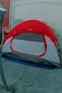 Dailies From the USA