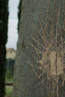 Le soldat mourant des Milles