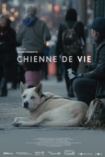 Chienne de vie