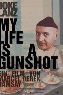 My Life Is A Gunshot