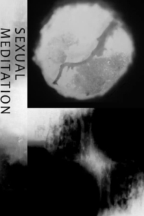 Sexual Meditation