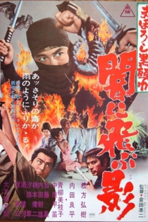 Black Ninja