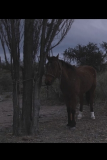 Un día todos los días