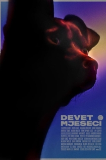 Devet mjeseci