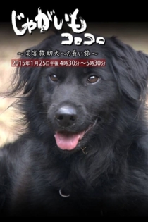 Jagaimo Korokoro ~ Saigai Kyūjo Inu e no Nagai Tabi