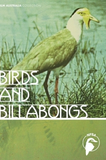 Birds and Billabongs