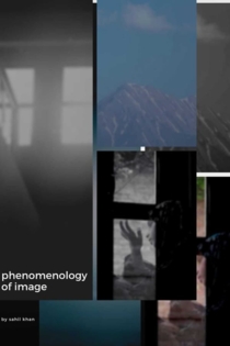 Phenomenology of Image