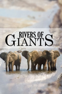 Rivers of Giants