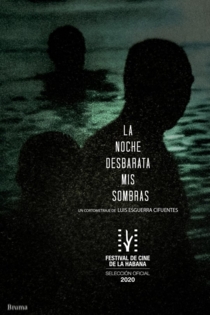 La Noche Desbarata mis Sombras