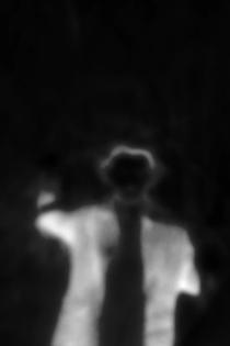 Caerán lóstregos do ceo