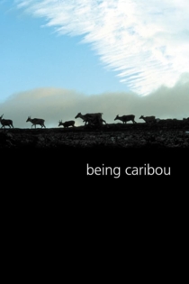 Being Caribou