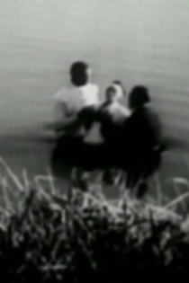 I Came for the Wedding