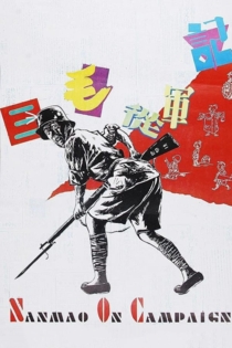 三毛从军记