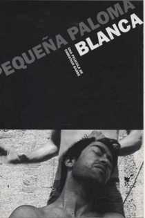 Pequeña paloma blanca