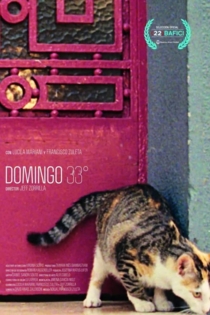 Domingo 33°