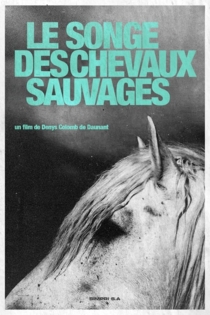 Le songe des chevaux sauvages