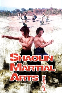 Shaolin Martial Arts