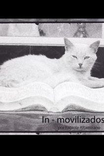 In - movilizados