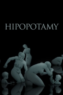 Hipopotamy