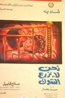 نحن لا نزرع الشوك