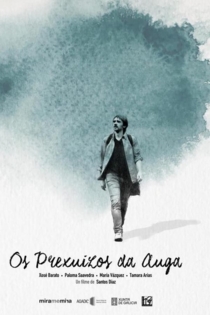 Os prexuízos da auga