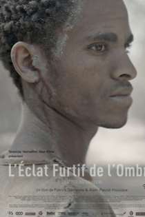 L'éclat furtif de l'ombre