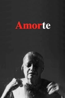 Amorte