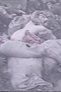 GOD SAW THAT IT WAS GOOD