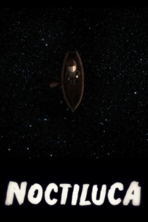 Noctiluca