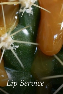Lip Service