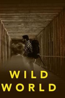 Wild World