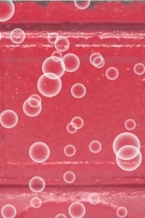 Slow Zoom Long Pause