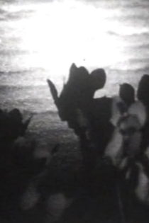 Looking In and Out (A Winter Diary)